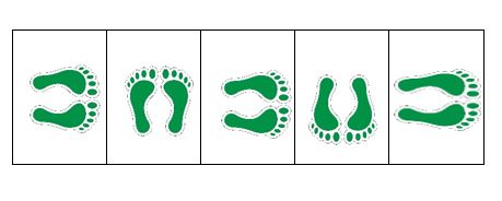 Конспект занятия по лепке с детьми 4–5 лет в группе с задержкой психического развития (техника пластилинография)Тема: «Друзья для цыпленка»Топоркова Галина Владимировна, воспитатель МБДОУ "Детский сад №20», г. Рязань